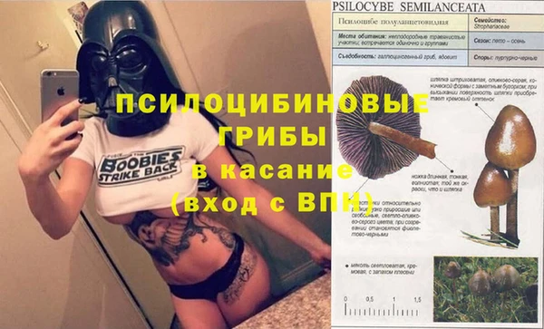 дмт Зеленокумск