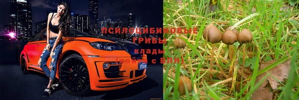дмт Зеленокумск