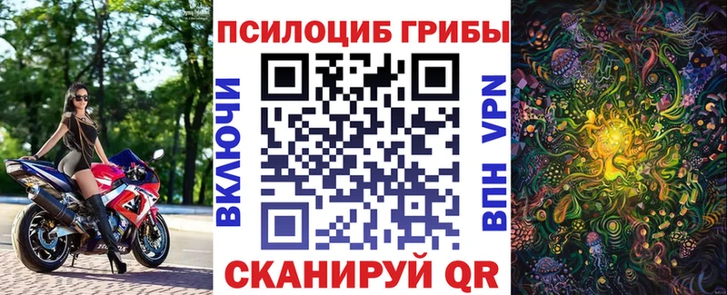 нарко площадка состав  Новомосковск  Галлюциногенные грибы мухоморы  где можно купить наркотик 