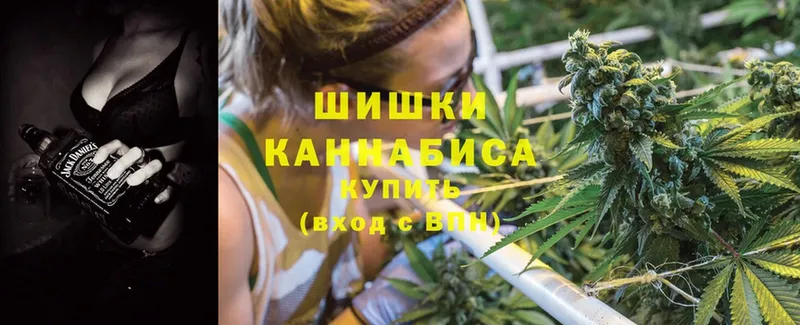 Каннабис White Widow  МЕГА ссылки  Новомосковск  закладки 